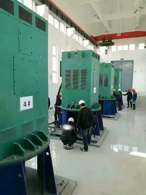 彭阳某污水处理厂使用我厂的立式高压电机安装现场