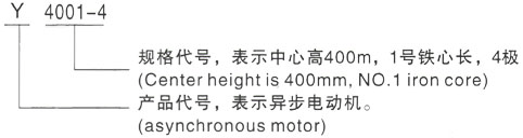 西安泰富西玛Y系列(H355-1000)高压彭阳三相异步电机型号说明